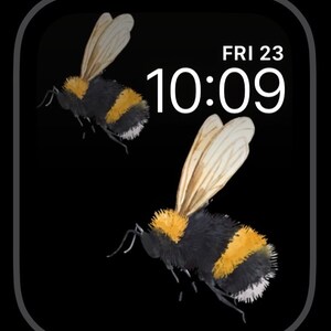 Peut inclure: Un cadran de montre Apple noir avec une horloge num&eacute;rique blanche affichant 10:09 et le texte "FRI 23". Deux bourdons noirs et jaunes volent sur l'&eacute;cran.