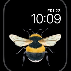 Peut inclure: Un bourdon noir et jaune aux ailes transparentes est centr&eacute; sur un fond noir. Il est 10h09, nous sommes vendredi 23.