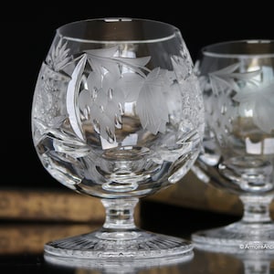 Vaso COGNAC grande - NACHTMANN Traube / Juego de 2