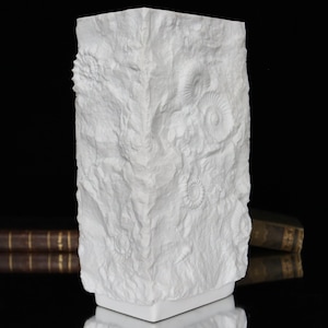 Puede incluir: Jarrón de cerámica blanca con una superficie texturizada que se asemeja a una formación rocosa. El jarrón está decorado con fósiles de amonites en relieve detallados.