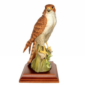 AK Kaiser Bisque Porcelain Peregrine Falcon Figurine - Limited Edition