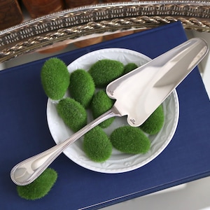 Può includere: Una paletta d'argento per torte poggia su un piatto bianco con decorazioni verdi simili a muschio, posto su un libro blu scuro. La paletta ha un manico decorativo e una lama larga e piatta.