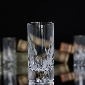 6x Crystal SHOT-brillen - TEQUILA-bril