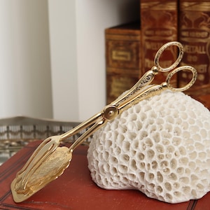 Puede incluir: Pinzas doradas para servir con detalles ornamentados, apoyadas sobre un objeto blanco texturizado similar al coral. Las pinzas tienen un diseño de tijera con asas de anillo y un extremo de cuchara decorativa. El fondo incluye libros antiguos y una superficie roja.