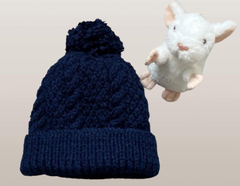 May include: A dark navy blue knit beanie featuring a textured cable knit pattern and a matching pom-pom on top. Beside the beanie is a small, white plush mouse toy with light pink ears and paws, depicted in a standing position with arms raised.