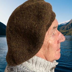 May include: A dark brown felted wool beret with a textured, fuzzy surface. The hat features a rounded crown and a ribbed knit band at the base, providing a snug fit around the head. The material appears thick and dense, with visible natural fibers.