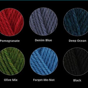 Op de afbeelding: Een kleurenkaart met zes cirkelvormige stalen van getwijnd garen in granaatappelrood, denimblauw, diep oceaanblauw, olijfmix groen, vergeet-mij-nietjesblauw en zwart. Elk garenmonster is voorzien van de bijbehorende kleurnaam.