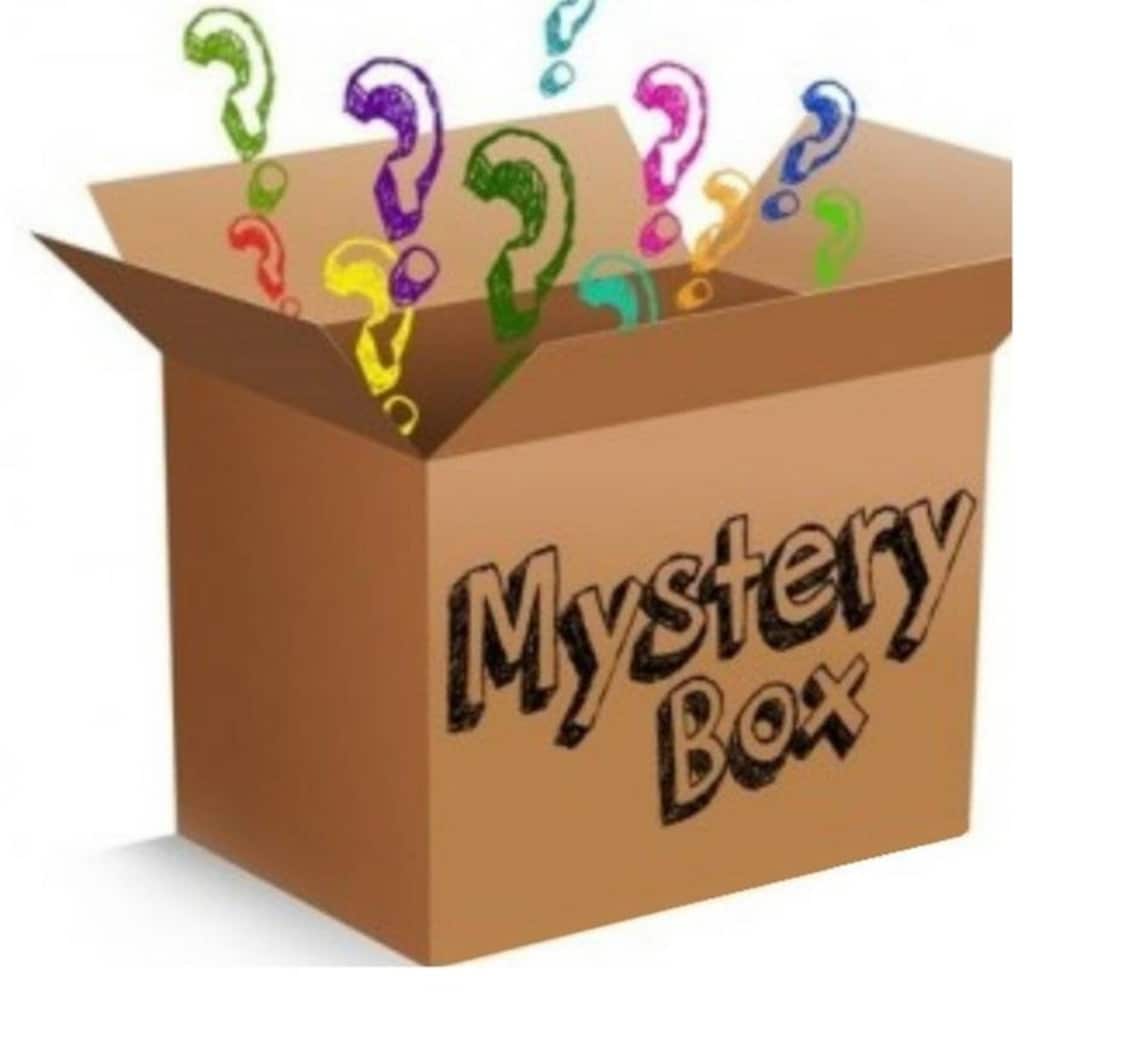 mystery vintage clothing box