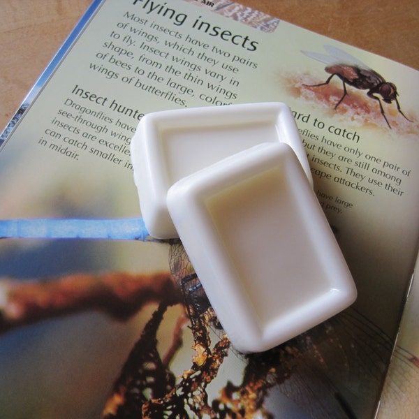 Bug Repellent Soap - Outdoorsman soap - DEET Free - Campers Soap