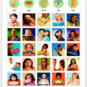 SENSES MATCH & SORT w/ 60 PeCs BILDER KARTEN DIGITAL DOWNLOAD Sprache Autismus Aba Therapie Aid printable pdf