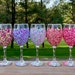 see more listings in the WINE GLASSES section