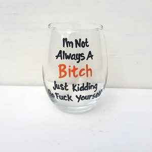 MATURE CONTENT I'm Not Always A Bitch stemless wine glass funny wine sayings funny wine glass sarcastic gifts image 7