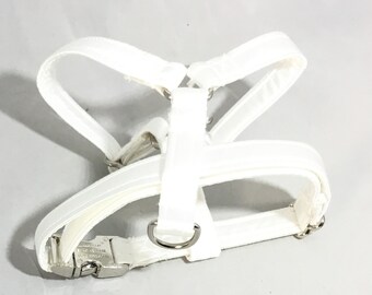 white dog harness