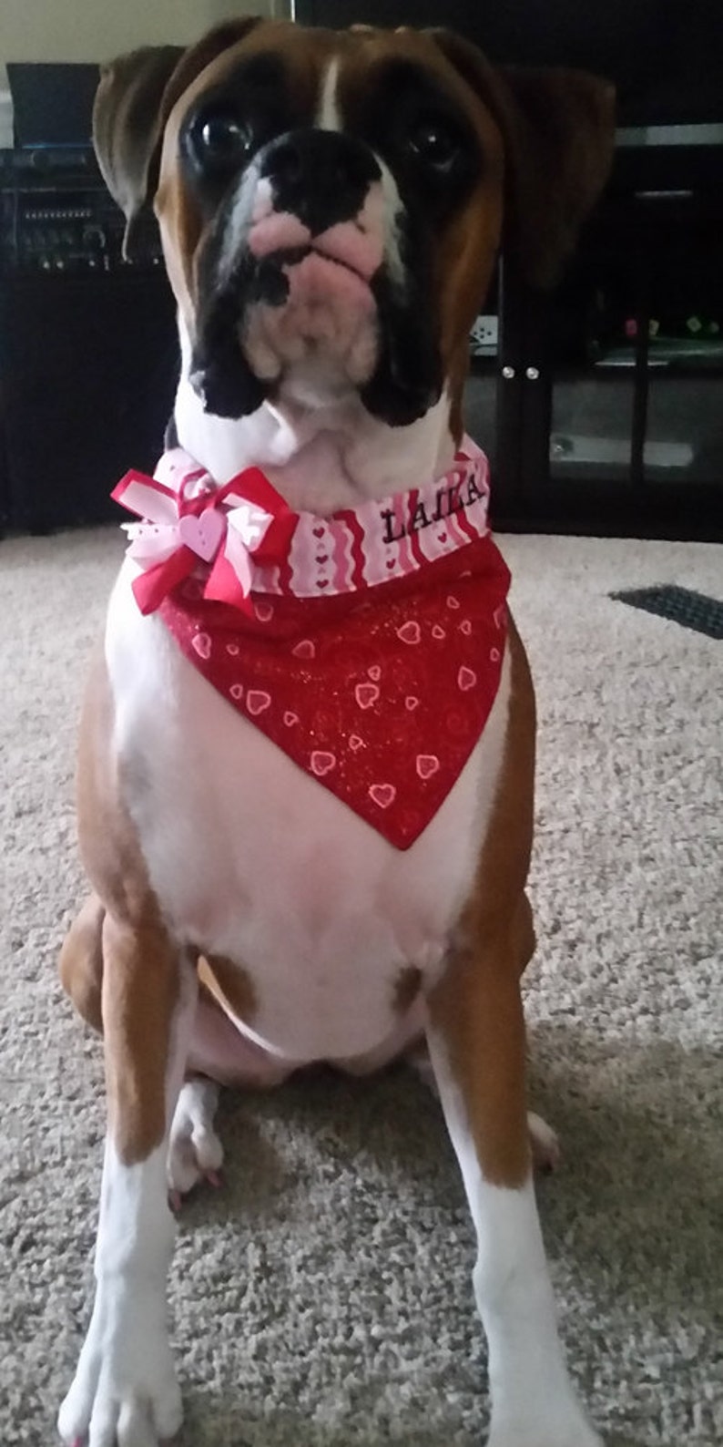 Hearts /& Stripes Embroidered Valentines Day Bandana for Dogs and Cats