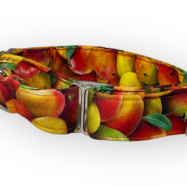 Mango Dog Collar Etsy