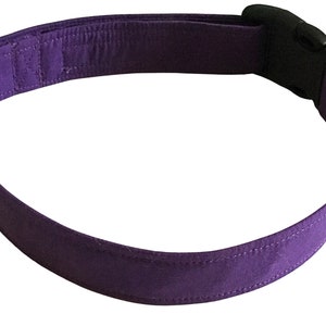 Dark Purple Collar for Girl Dogs or Cats-Buckle, Breakaway, Martingale Available