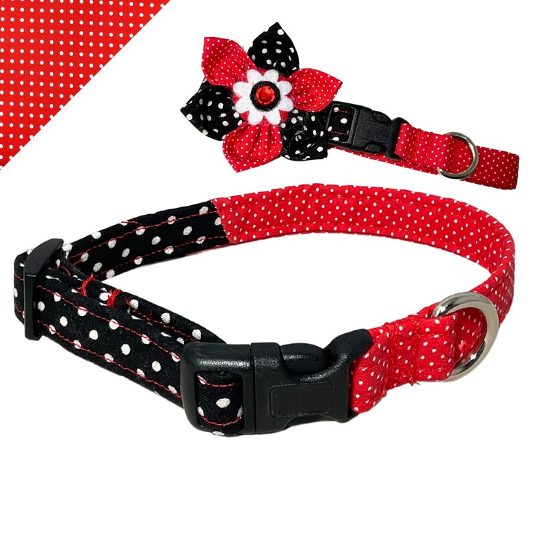 a red and black polka dot dog collar and leash