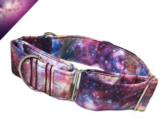 Celestial Galaxy Starry Martingale Dog Collar - Trendy Space Pet Gear for Fashionable Furry Friends -  Personalization & Leash  Upgrades