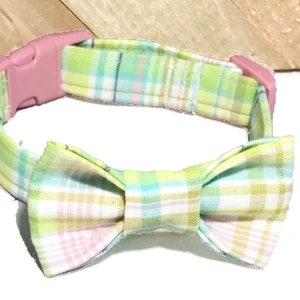 easter dog bow tie collar