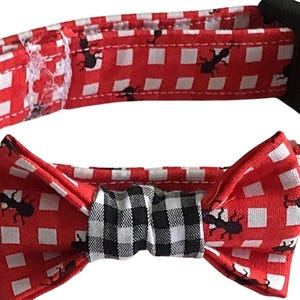 Black Ant Bow Tie Collar for Male Cats and Dogs -Red and White Gingham Background - Buckled or Martingale- Name on Collar Leash Options
