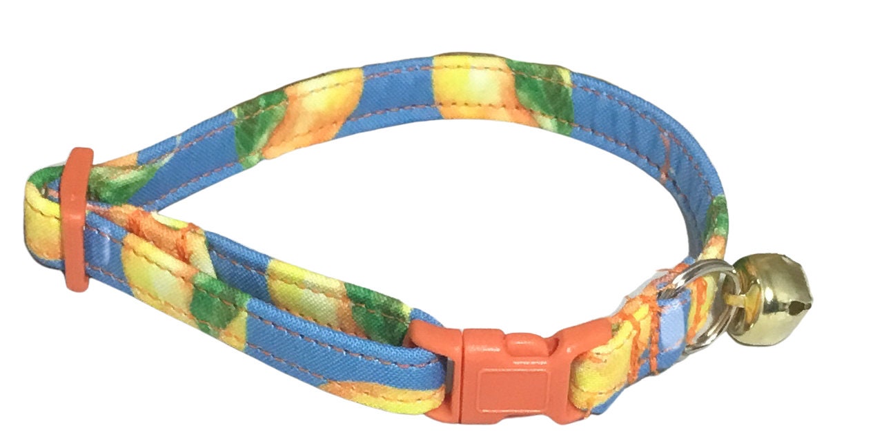 Petco Brand Bond RainbowPrint Kitten Collar atelieryuwa.ciao.jp