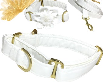 White Satin Martingale Collar With Gold  Metal Hardware for Dogs- Leash, Flower, Bow Tie, Name Personalization Upgrades