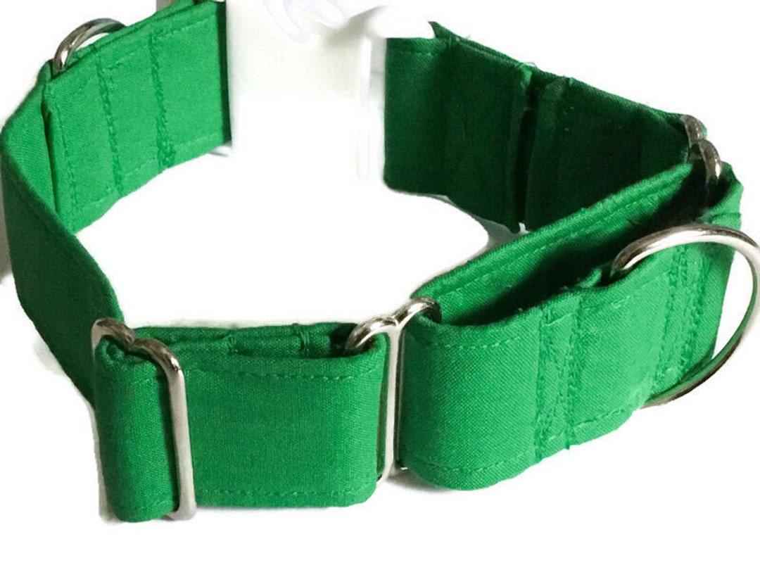 Solid Green Martingale Dog Collar slip on Martingales buckle Etsy