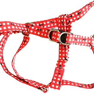 Red & White Gingham Harness with Black Ants for Male or Female Dogs - Picnic Table Theme-  Black Buckle- Step In Style -Summer Harnesses