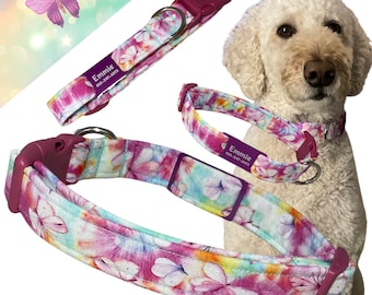 Colorful Rainbow Butterfly Collar with Laser Engraved Pet Tag - Spring & Summer Pet Accessory- Leash Upgrade
