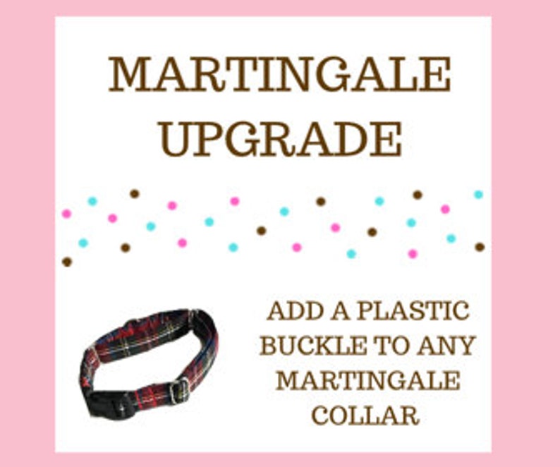Add A Buckle to Any Martingale Collar of Your Choice image 1