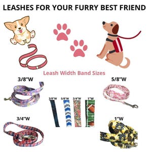 leashs for your furry best friend