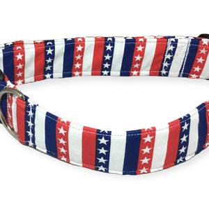 May include: A red, white, and blue dog collar with a stars and stripes pattern. The collar has a black plastic buckle and a silver D-ring.