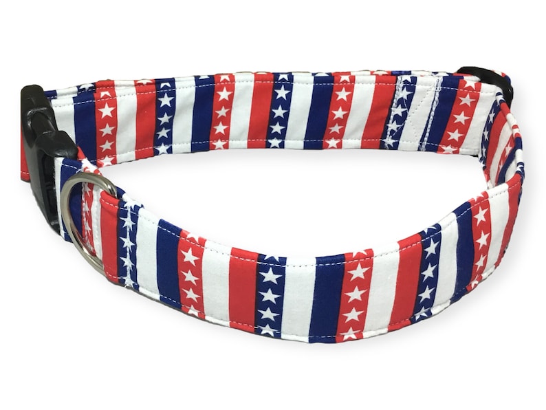 May include: A red, white, and blue dog collar with a stars and stripes pattern. The collar has a black plastic buckle and a silver D-ring.