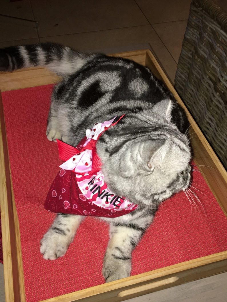 Hearts /& Stripes Embroidered Valentines Day Bandana for Dogs and Cats