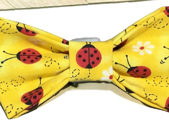 Ladybug Bow Tie for Male Dogs and Cats