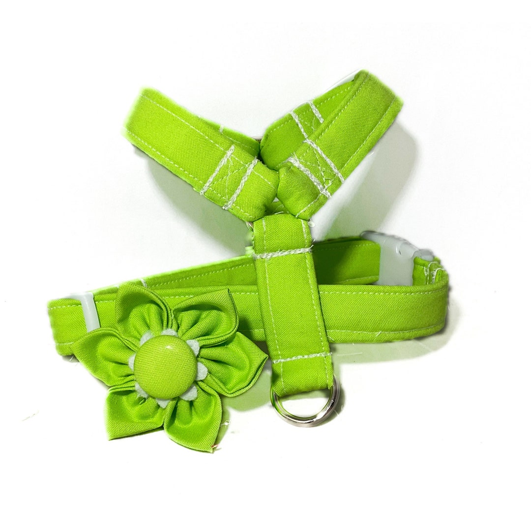 Bright Solid Green Harness for Dogs White Buckle Roman Dog Harness