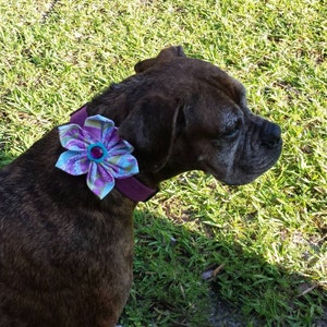 Purple Paisley Attachable Flower for Girl Dog or Cat Collar / XXS XL Flower Bild 4