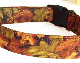 Autumn Leaves Collar for Dogs and Cats