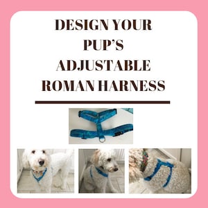 Design Your Pup’s Adjustable Roman Harness for Walks //Matching Leash Option // Matching Flower or Bow tie Option