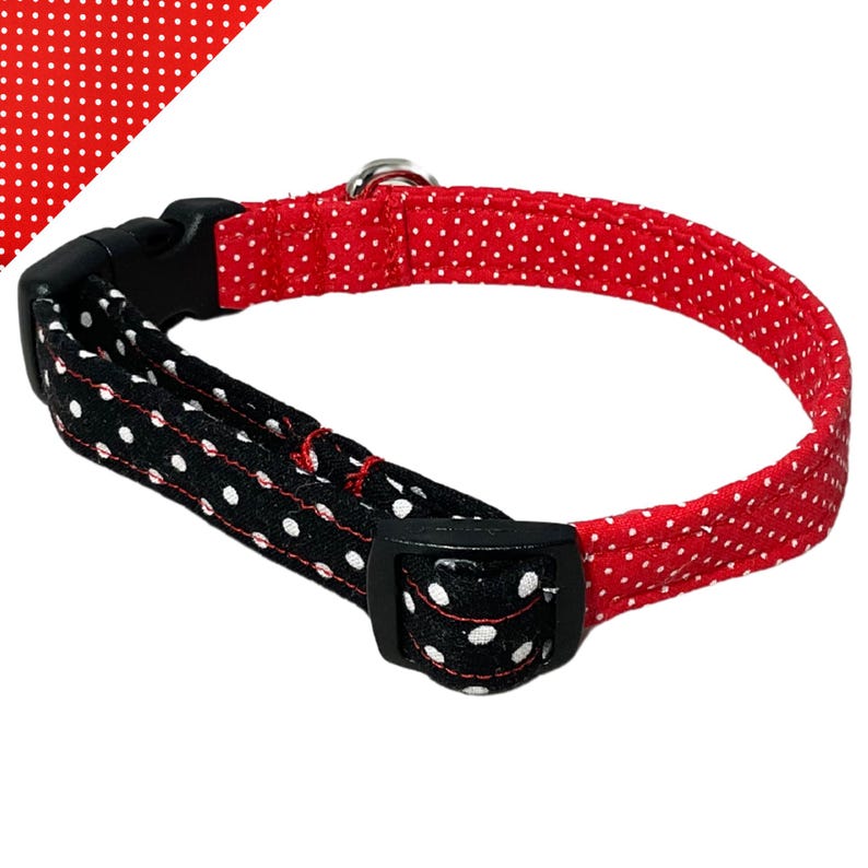 a red and white polka dot dog collar