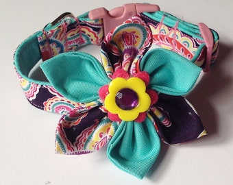 Aqua & Purple Paisley Flower Collar for Dogs and Cats