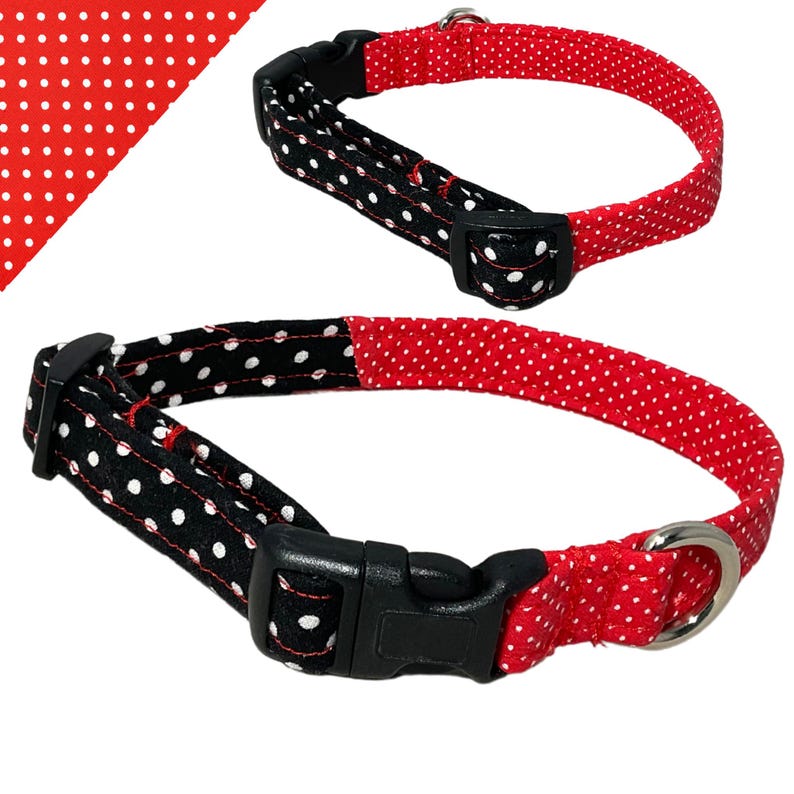 a red and white polka dot dog collar and leash