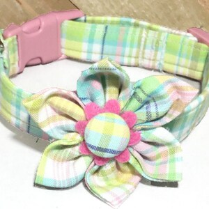 easter dog bow tie collar
