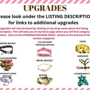 May include: A graphic showing different upgrades for dog collars and leashes. The upgrades include engraved buckles, collar bandanas, metal buckles, personalized collars, leashes, harnesses, friendship charm bracelets, keyfobs, and flower/bow ties.