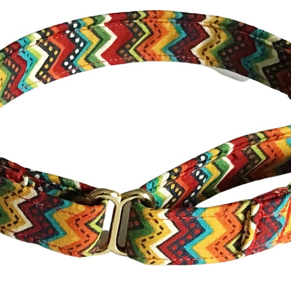 Colorful Fall Chevron Martingale Collar for Male or Female Dogs