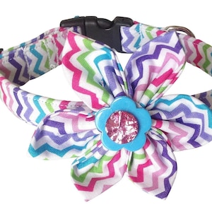 Rainbow Chevron Flower & Collar Set for Female Dogs and Cats-Buckled or Martingale- Purple, Pink, Blue, Green Chevron on White Background-