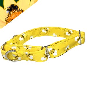 May include: Yellow dog collar with a bee pattern. The collar is made of fabric and has a silver buckle.