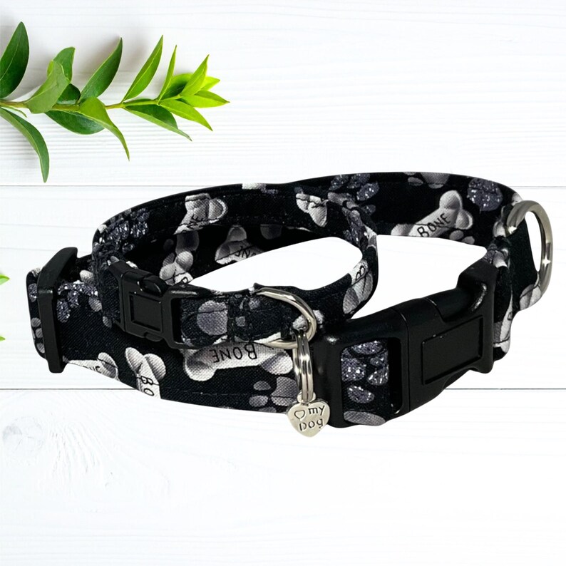 A black and white dog collar with paw print patterns and a silver dog tag is displayed on a white wooden surface, accompanied by a green plant.