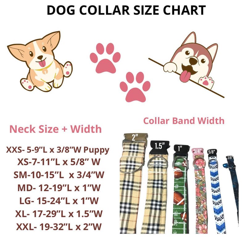 The image is a dog collar size chart that provides the collar size and band width for various dog breeds. It includes illustrations of a Corgi puppy and a husky, as well as several different collar designs and band widths.