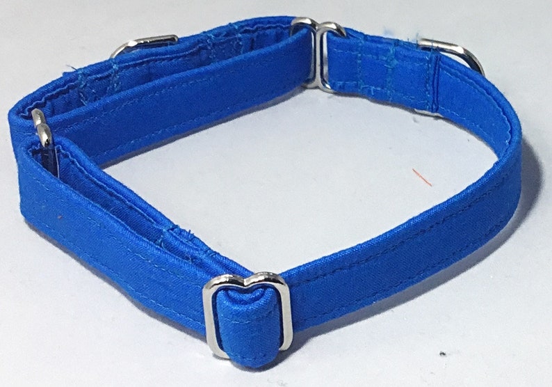 Hawaii Blue Wedding Martingale Collar for DogsMatching Royal Blue Leash OptionXS-XL
